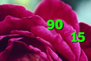 کریو ویندوز فون کروز کنترل ال 90 آنتی فیلتر توربو کریو 15 روزه