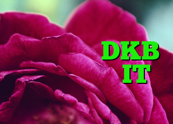 یک حمله هکر صفحه اصلی بانک آنلاین DKB را فلج می کند IT متولد می شود