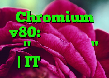 Chromium v80: قلم دزدگیر شده در "ذخیره به عنوان"؟ | IT متولد می شود