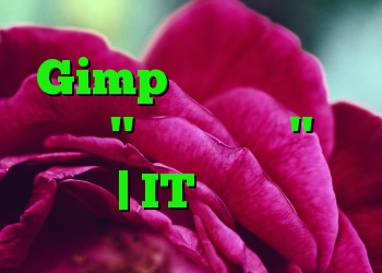 Gimp بخش های تصویر را با "ماسک شفافیت" حذف می کند | IT متولد می شود
