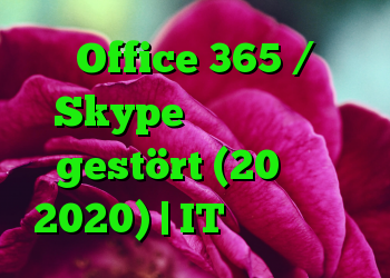 Office 365 / Skype برای کسب و کار gestört (20 فوریه 2020) | IT متولد می شود