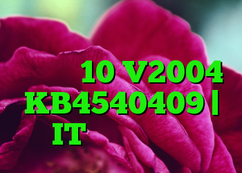 بروزرسانی پیش نمایش خودی ویندوز 10 V2004 KB4540409 | IT متولد می شود