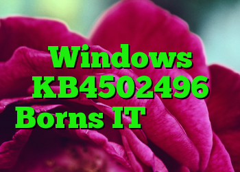 به روزرسانی Windows KB4502496 Borns IT برگردانده شده است