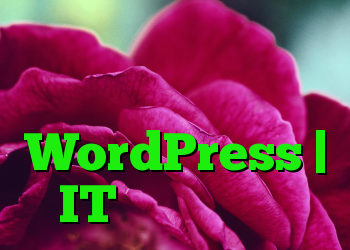 حمله به آسیب پذیری در افزونه های افزونه WordPress | IT متولد می شود