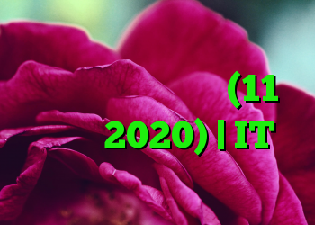 خلاصه ای از به روزرسانی های امنیتی مایکروسافت (11 فوریه 2020) | IT متولد می شود