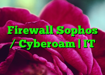 سه آسیب پذیری در فناوری Firewall Sophos / Cyberoam | IT متولد می شود