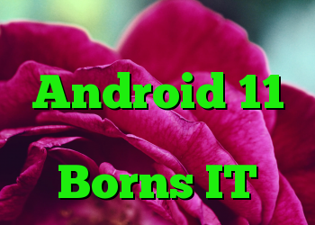 نسخه اول Android 11 پیش نمایش توسعه دهنده Borns IT