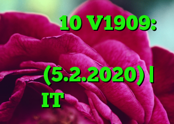 ویندوز 10 V1909: جستجو در منوی استارت انجام نشد (5.2.2020) | IT متولد می شود