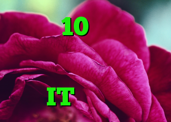 ویندوز 10 اینترنت را گزارش نمی کند ، حتی اگر ارتباطی وجود داشته باشد IT متولد می شود