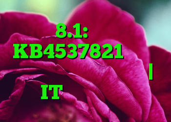 ویندوز 8.1: به روز رسانی KB4537821 همچنین مشخصات کاربر را می کشد | IT متولد می شود