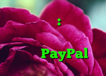 کلاهبرداری: اتهامات غیرمجاز در فناوری اطلاعات متولد PayPal