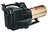 نمای کلی پمپ استخر استخر Hayward SP2610X15