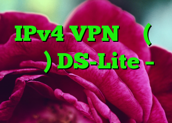 IPv4 VPN با (با وجود) DS-Lite – هلموت کارگر