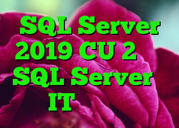 SQL Server 2019 CU 2 عامل SQL Server را کشت IT متولد می شود