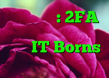 آسیب پذیری: 2FA توسط برنامه های احراز هویت IT Borns به خطر افتاد