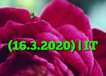 آشفتگی: تیم های مایکروسافت در هم می زنند (16.3.2020) | IT متولد می شود