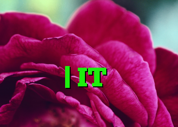 آلمان هیچ ایده ای در مورد دیجیتالی شدن ندارد؟ | IT متولد می شود