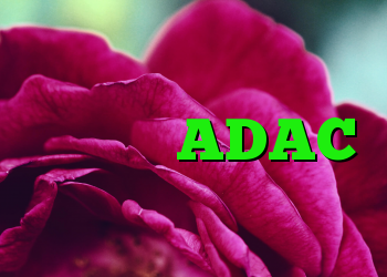 با کارتهای اعتباری آمازون و ADAC متولد شد