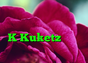 بزرگنمایی داده های شخصی را به تأمین کنندگان وب K Kuketz فناوری اطلاعات وب انتقال می دهد