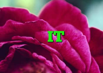 به روز رسانی خودکار مضامین IT آینده متولد وردپرس