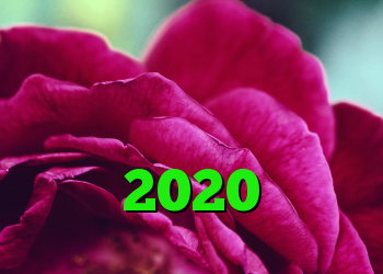 بهترین برنامه های تلفن همراه خانواده در سال 2020