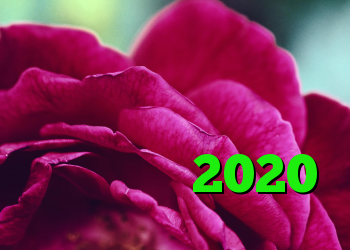 بهترین برنامه های داده نامحدود ارزان برای یک نفر در سال 2020