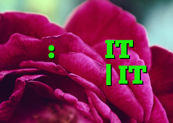 بگذارید مادرم فرار کند: امنیت IT در معرض زندان | IT متولد می شود