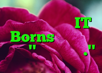 تروی هانت صفحه IT Borns را نگه می دارد "من قانع شدم."