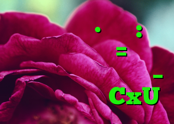 جامعه سیاست • پاسخ: نام مستعار اجباری = حمله به محافظت از داده ها – توهین آمیز به CxU