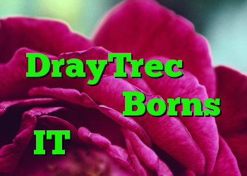 حمله به روترهای DrayTrec شبکه های شرکتی Borns IT را تهدید می کند