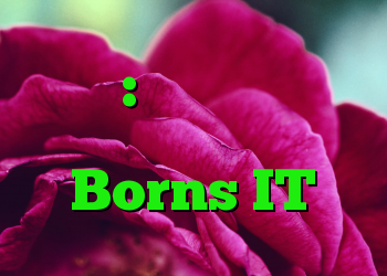 خانگی: بحران ساختاری فناوری اطلاعات Borns IT