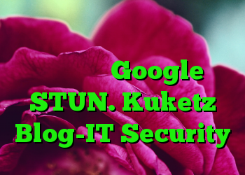 دوستانه برای محافظت از داده ها بدون سرور Google STUN. Kuketz Blog-IT Security