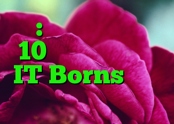 رفع: درایورهای ویندوز 10 توسط انزوا هسته IT Borns مسدود شده اند