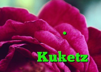 رویداد بدون حفاظت از اطلاعات وبلاگ. فناوری اطلاعات فناوری اطلاعات وبلاگ Kuketz