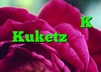 قطعات پازل موجود K Kuketz انجمن امنیت فناوری اطلاعات