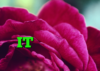 مخزن یادگیری لاجورد IT متولد می شود