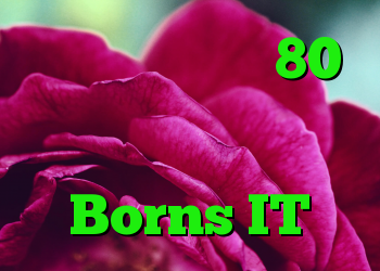 نشت داده ها با 80 میلیون رکورد داده در شرکت بیومتریک Borns IT