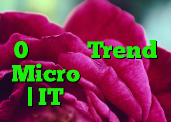 هکرها به دو آسیب پذیری 0 روزه از Trend Micro حمله می کنند | IT متولد می شود