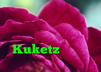 وزارت دفاع فدرال کاربران را از طریق وبلاگ فیس بوک فناوری اطلاعات وبلاگ Kuketz دنبال می کند