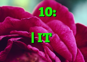 ویندوز 10: مدافع هنگام اسکن موارد را رد می کند | IT متولد می شود