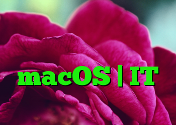 ویندوز آسیب پذیری کمتری نسبت به لینوکس و macOS | IT متولد می شود