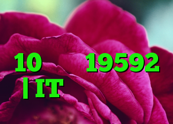 پیش نمایش خودی ویندوز 10 ساخت 19592 | IT متولد می شود