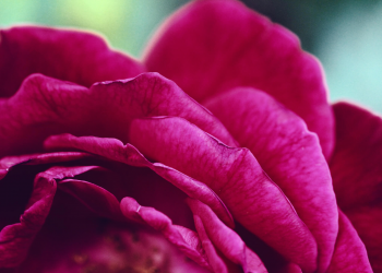 چگونه اینترنت بی سیم رایگان بدست آوریم؟