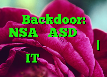 Backdoor: NSA و ASD درباره آسیب پذیری هشدار می دهند | IT متولد می شود