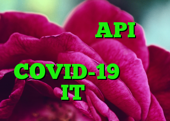 اپل و گوگل در API برای برنامه های COVID-19 همکاری می کنند IT متولد می شود
