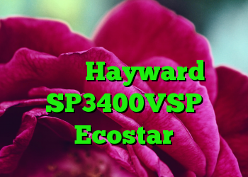 بررسی اجمالی پمپ استخر با سرعت متغیر Hayward SP3400VSP Ecostar