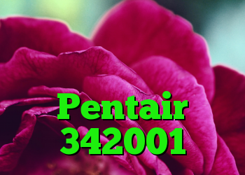 بررسی اجمالی پمپ استخر با سرعت متغیر Pentair 342001
