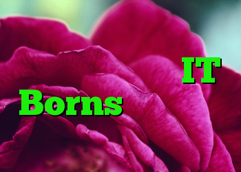 بیایید تقریباً هر برنامه ضد ویروس IT Borns را به چالش بکشید