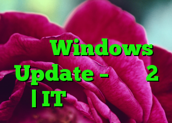 خطاهای احتمالی در پایگاه داده Windows Update – قسمت 2 | IT متولد می شود
