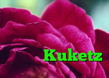 دیدار با جیتس تکمیل وبلاگ امنیت فناوری اطلاعات Kuketz